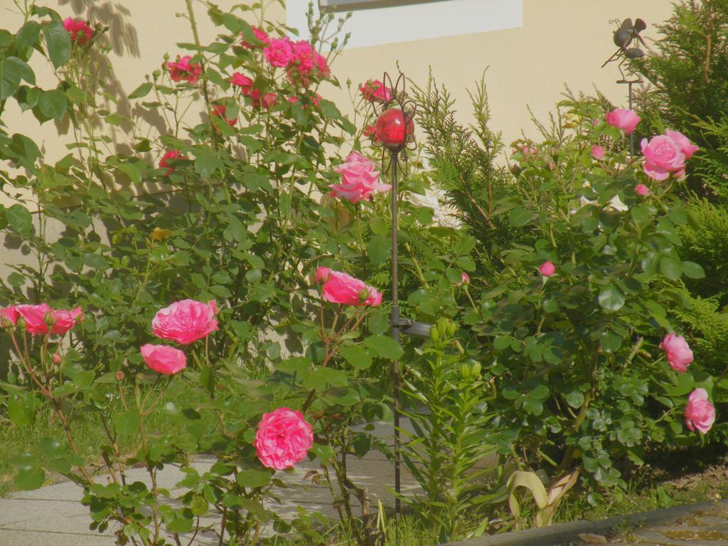 مبيت وإفطار زبنيتس Am Lindenbaum المظهر الخارجي الصورة