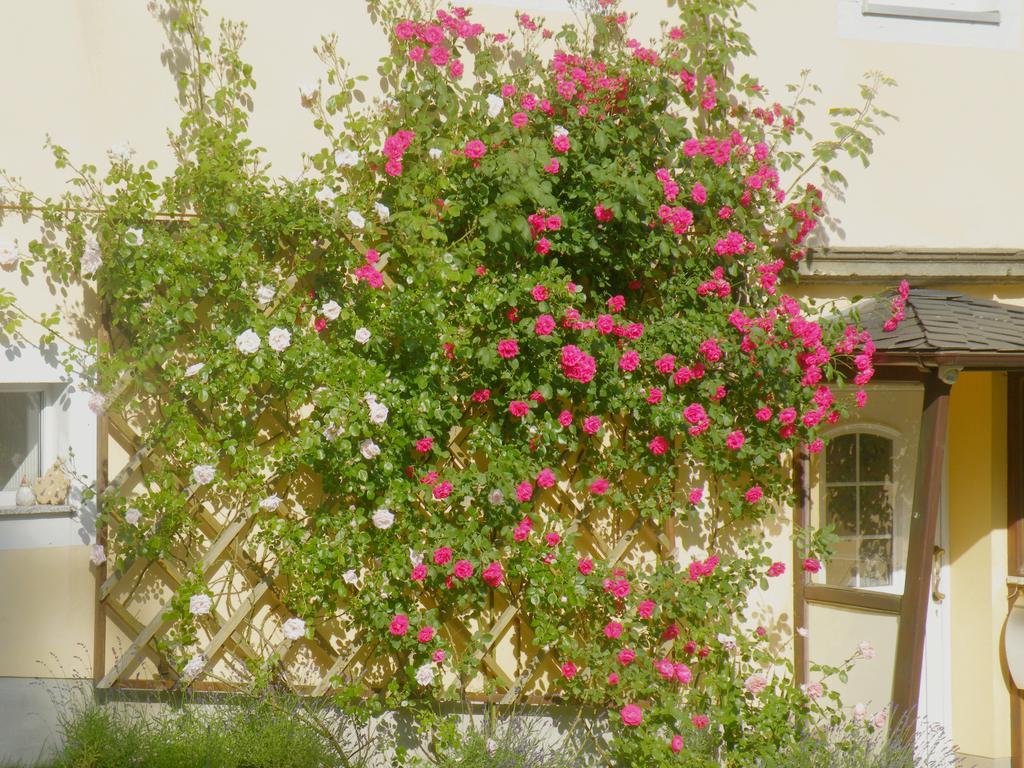 مبيت وإفطار زبنيتس Am Lindenbaum المظهر الخارجي الصورة